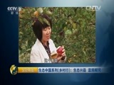 生财有道 《生财有道》 20160122 生态中国系列（乡村行）：生态兴县 富民柳河