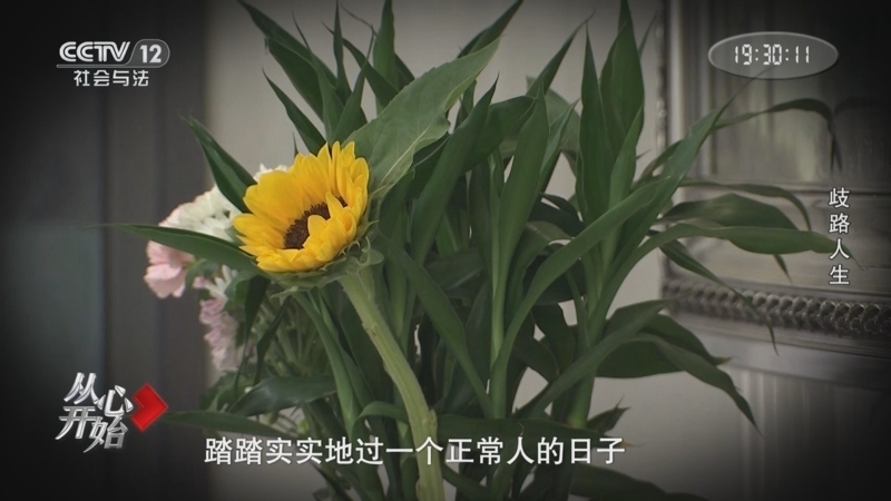 从心开始 《从心开始》 20250831 歧路人生