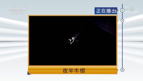 天网 《天网》 20181012 夜半牛棚