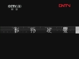 动物世界 《动物世界》 20111220