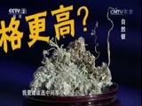 一槌定音 《一槌定音》 20170305