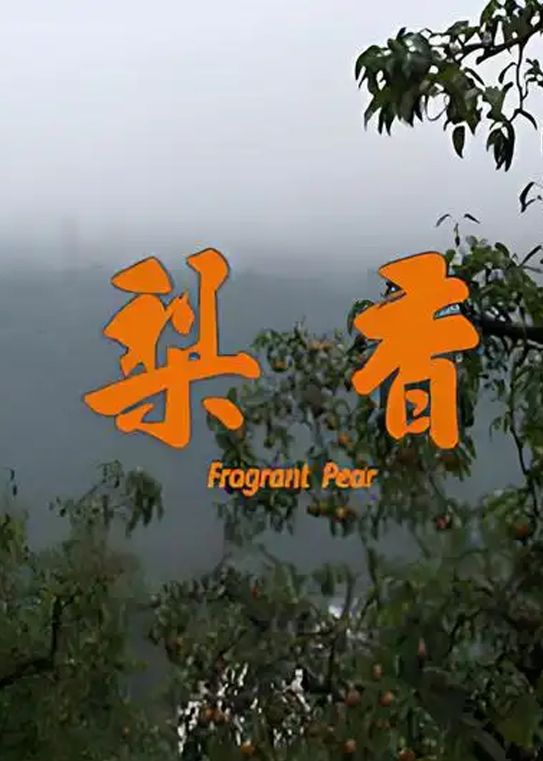 梨香 海报