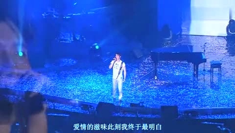 IU kiss&cry Kiss Goodbye 2008台北演唱会中文字幕现场版-王力宏