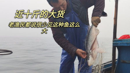 南澳岛赶海日记 彪哥捕获一条近十斤的大货，老渔民也说这种鱼很少这么大，龙虾也上来了