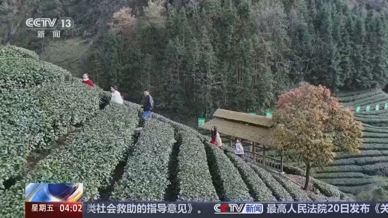 新闻直播间 《新闻直播间》 20260821 04:00