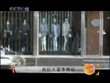天网 天网 2010年 第221期 疯狂大盗落网记