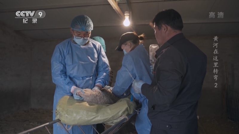 《黄河在这里转弯》 第2集
