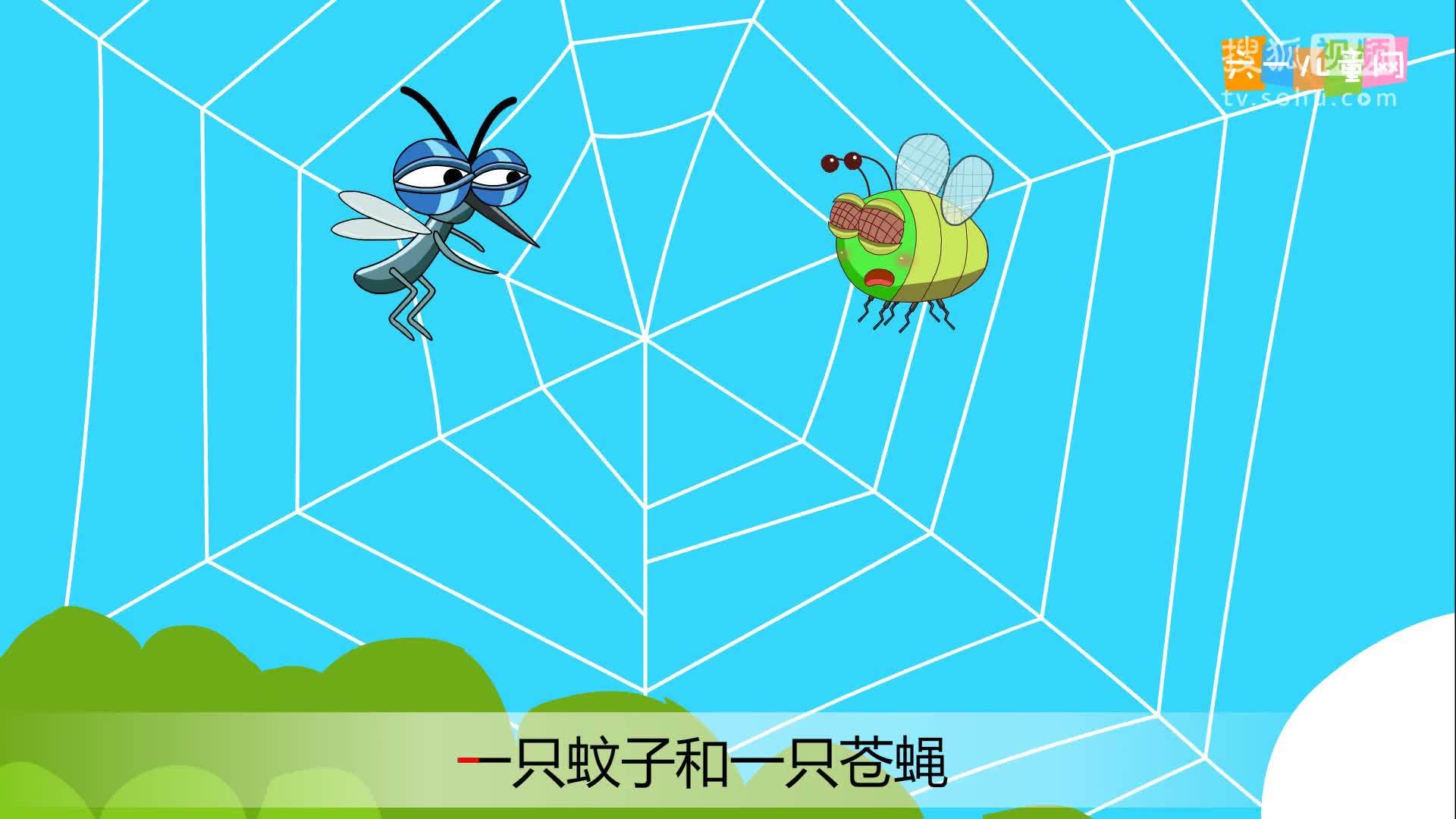 嘟拉十万个为什么 为什么蜘蛛不会被自己的网粘住？