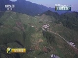 生财有道 《生财有道》 20161019 咱们家乡有特产（秋收系列）——安徽西山焦枣