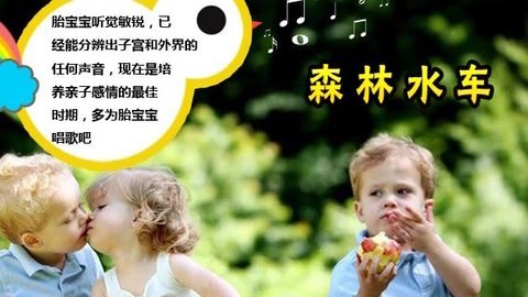 胎教音乐 第23周 森林水车