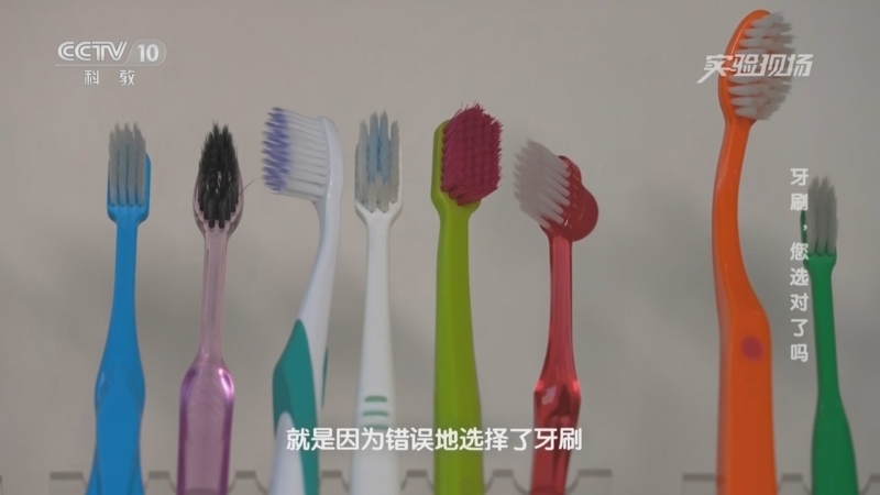 实验现场 《实验现场》 20230416 牙刷，您选对了吗