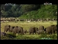 人与自然 人与自然 2009年 第27期