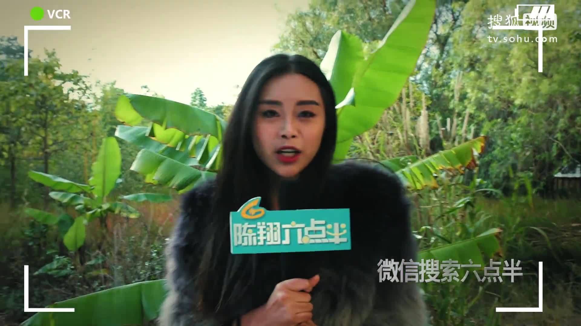 陈翔六点半 《陈翔六点半》 第30集  最让女主播尴尬的事儿