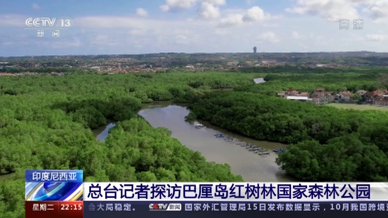 国际时讯 《国际时讯》 20221115