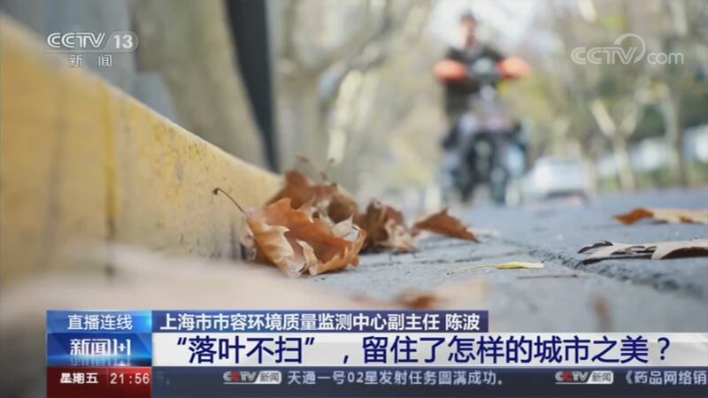 新闻1+1 《新闻1+1》 20201113 “落叶不扫”，留住了怎样的城市之美？