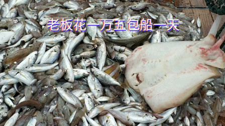 南澳岛赶海日记 老板花1万5包百万级大渔船出海捕鱼，收获千斤海鲜，这运气太好了