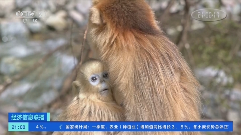 经济信息联播 《经济信息联播》 20230418