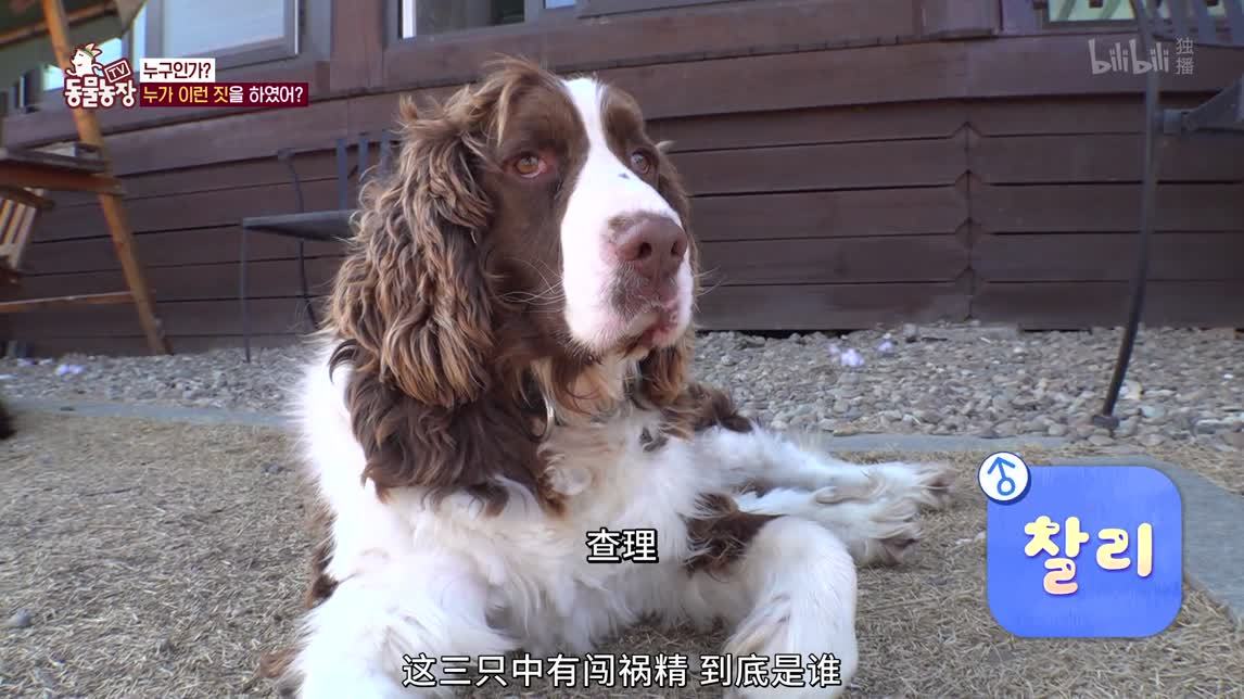 时而”天使“时而”恶魔“