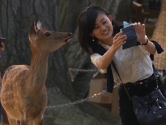 野性日本第1集：本州岛