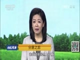 小区大事 《小区大事》 20161031 分居之后