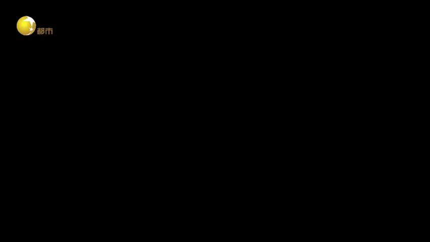 伟大的长征 《伟大的长征》第9集