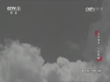 动物世界 《动物世界》 20170719 盆地狮子·终极挑战