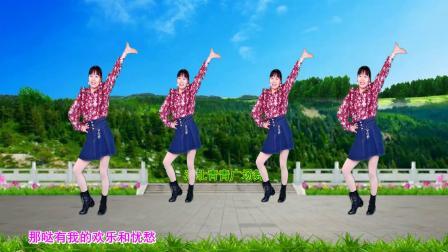 心醉民歌广场舞《回到山沟沟》动感带劲