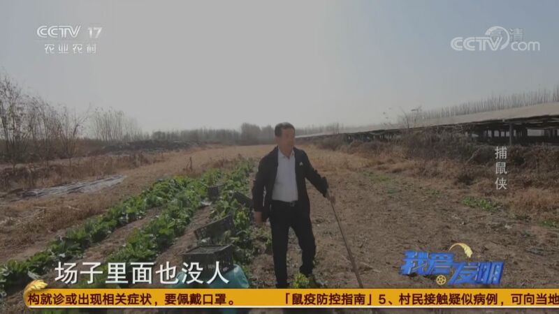 我爱发明 《我爱发明》 20200828 魔力发明秀之捕鼠侠