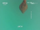地理中国 《地理中国》 20160728 奇潭异象-神龙潭探奇