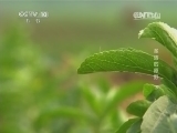 地理中国 《地理中国》 20140930 圣洁的原野（下）