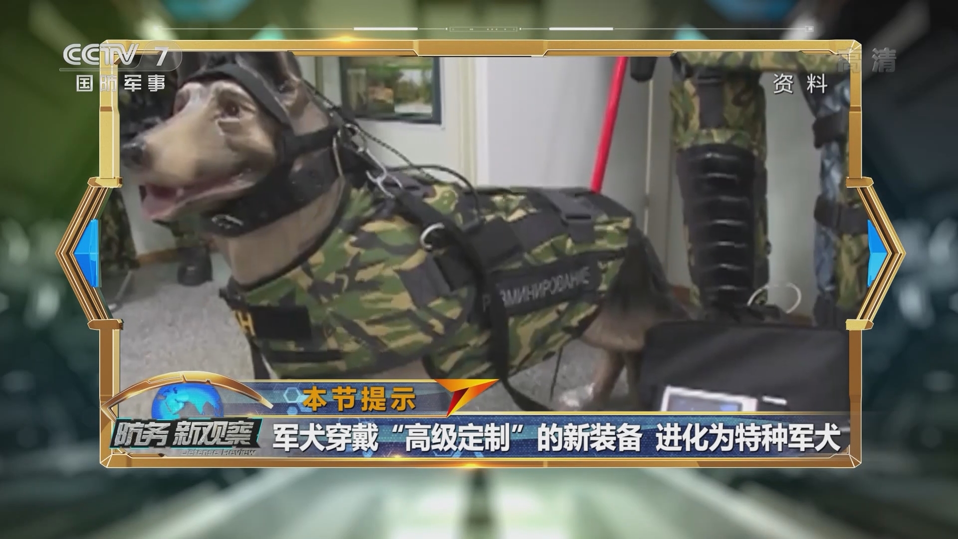 《防务新观察》 20211101 战场奇兵永不过时 军犬 战马尽施“犬马之劳”