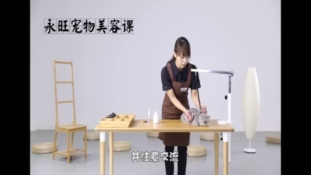 永旺宠物美容课第一季