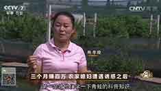 致富经 [致富经]三个月赚百万 农家媳妇遭遇诱惑之后 20161019