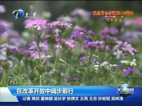 天津新闻 《天津新闻》 20140822