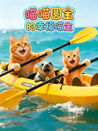 喵喵圆宝的幸福喵生