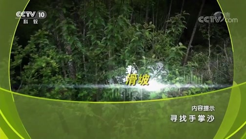 地理中国 《地理中国》 20190330 寻找手掌沙