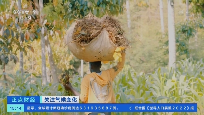 正点财经 《正点财经》 20221115 15:00