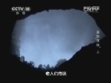 地理中国 《地理中国》 20141009 追踪“龙鱼”（上）