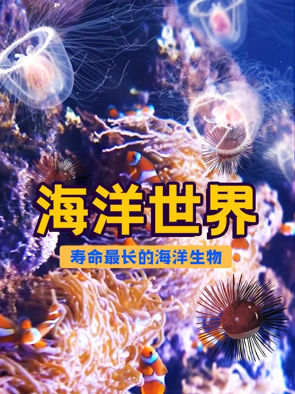 海洋世界：寿命最长的海洋生物