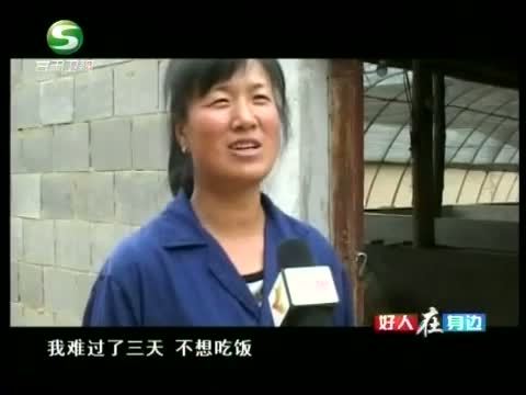 好人在身边 《好人在身边》 20140525 养猪“致富能手” 金菊芳