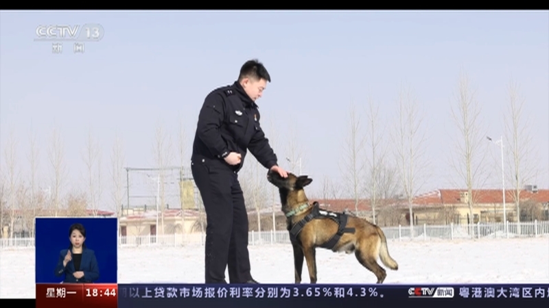 共同关注 《共同关注》 20230220