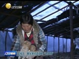 辽宁新闻 《辽宁新闻》 20141128