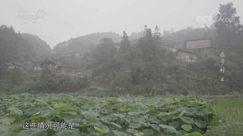 《在乡村》 第四集 旅游来了