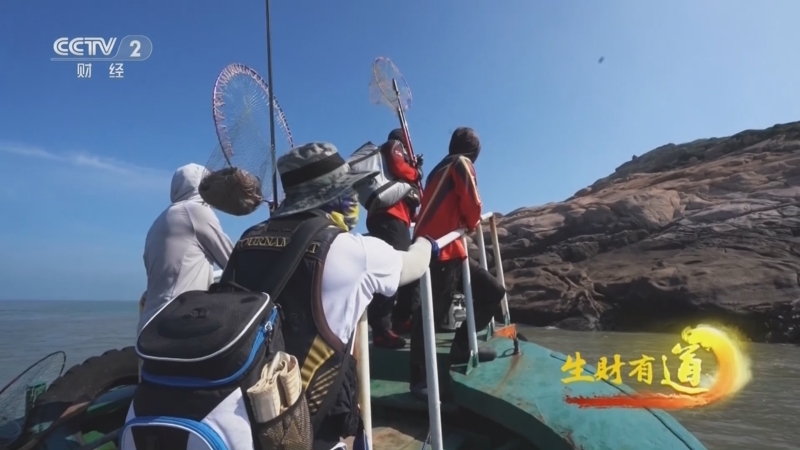 生财有道 《生财有道》 20240906 海钓 矶钓 岛上渔民欢乐财