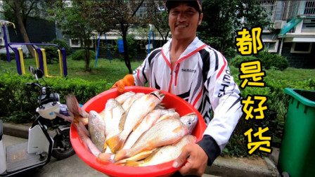 阿杰最近人品大爆发，出海两小时居然钓了几十斤鱼，全是值钱货