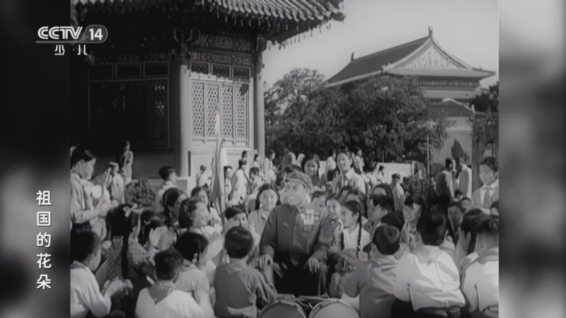 动画大放映 《动画大放映》 20241013 23:28