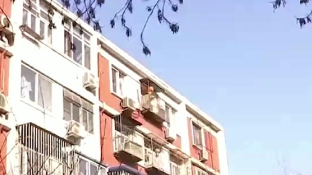北京顶级学区房降价400万没人要！学区房真的要“凉凉”了吗？