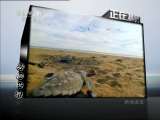 动物世界 动物世界 2011年 第77期