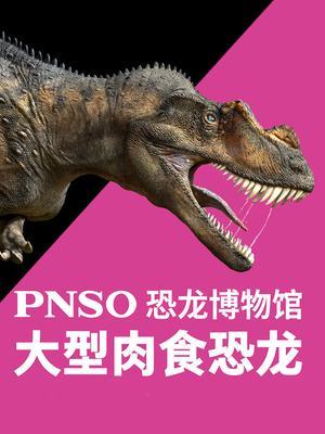 PNSO恐龙博物馆：中型肉食恐龙