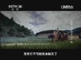 影视名堂 《影视名堂》 20131123 功夫片的功夫